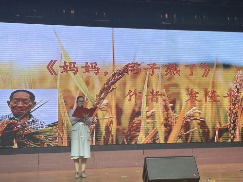 他不过是去找妈妈了,他的梦里依旧有稻花芬芳.