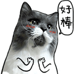 无热血 不少年!